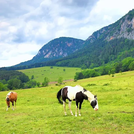 Glamping Hohe Wand - Kuppelzelt 