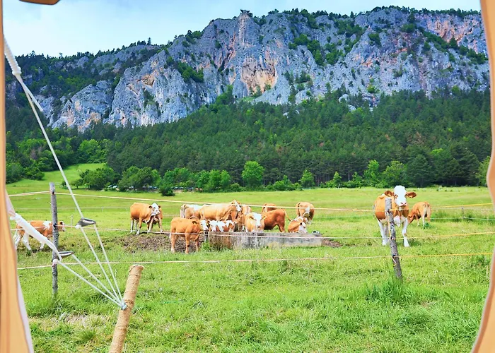 Glamping Hohe Wand - Kuppelzelt 