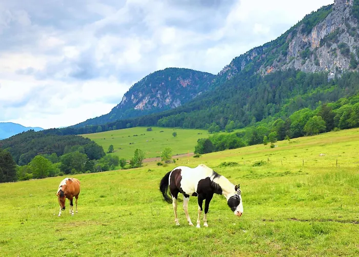 Glamping Hohe Wand - Kuppelzelt 